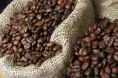 埃塞俄比亚谷姬安娜索拉庄园酵素水洗G1咖啡豆价格风味 咖啡庄园面积多