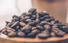 瓜地马拉安提瓜首选咖啡豆的风味 咖啡SHB水洗咖啡生豆价格