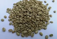 哥斯大黎加布兰卡产区图卡斯庄园黑蜜处理精品咖啡生豆价格如何