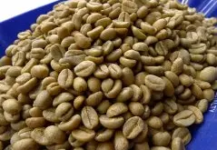 牙买加蓝山NO.1克里夫顿庄园精品咖啡产量 纯正蓝山咖啡豆醇厚度