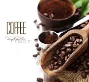 埃塞俄比亚咖啡水洗耶加雪菲沃卡村米库瑞亚小农G1咖啡生豆贵吗