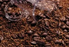 埃塞俄比亚水洗西达摩咖啡豆水洗精品古伎西达摩圆豆G1咖啡豆风味