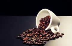 乌干达布基苏咖啡产区 乌干达布基苏水洗AA咖啡豆风味的特点