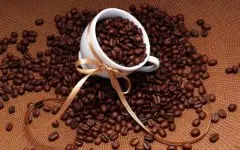 哥斯大黎加咖啡产区拉斯哈拉斯庄园日晒黑珍珠咖啡的风味特点描写