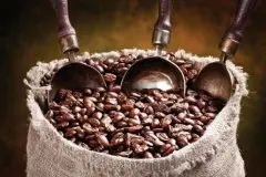 危地马拉咖啡产区圣伊莲娜庄园 波本日晒咖啡豆的风味描述特点