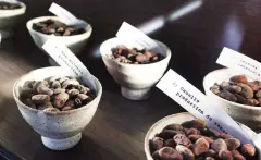 危地马拉咖啡产区帕伦西亚 日晒处理咖啡豆有什么口味风味的描述