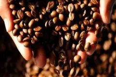 印度尼西亚咖啡产区多巴湖瓦哈娜红酒日晒长身龙果咖啡的风味描述