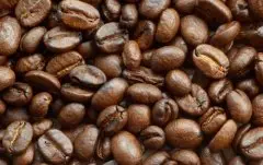 埃塞俄比亚咖啡豆介绍 耶加雪啡歌得G1日晒咖啡故事和豆子酸度