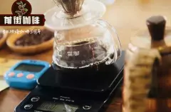 埃塞俄比亚咖啡产区卡永山庄园手冲咖啡滤杯v60冲煮方式