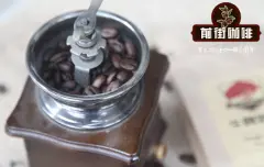 厄瓜多尔咖啡豆水洗海龟豆特点 厄瓜多尔咖啡豆咖啡知名度