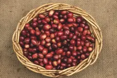 哥伦比亚拉米尼塔咖啡庄园 模范生咖啡烘焙程度风味口感描述特点