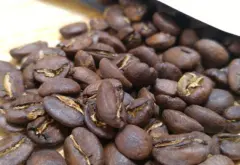 哥斯大黎加庄园咖啡口味 唐达利庄园艺妓水洗处理咖啡豆价格