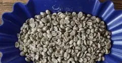 巴西喜拉朵产区阿凯亚种日晒处理咖啡口感特点 烘培豆阿凯亚价格