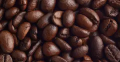 衣索匹亚野姜花4水洗咖啡豆杯测报告 Butucha处理厂咖啡豆风味