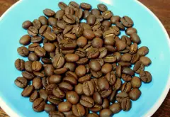 尼泊尔Nepal咖啡品种咖啡豆总产量 卡佛瑞巴格仑咖啡口感风味描述