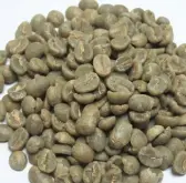 哥斯大黎塔布兰卡产区里瓦斯人处理厂黑蜜处理咖啡豆味道如何