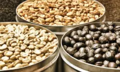 衣索比亚日晒西达摩谷吉产区伊谷峇雅处理厂G1咖啡豆风味描述