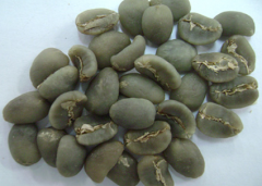 绿迪诺咖啡豆产自哪里 印尼绿迪诺咖啡豆日晒阿拉比卡咖啡风味