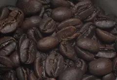 哥斯大黎加Canet咖啡豆产量 内特庄园音乐家巴哈葡萄干蜜处理风味