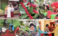 瓜地马拉最古老庄园咖啡 OCIA有机认证波旁庄园咖啡豆价格贵吗