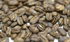 白布帆有机咖啡冲煮咖啡最佳温度 阿拉比卡烘焙咖啡豆品种风味