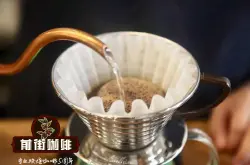 巴拿马艺伎咖啡种植区介绍艺伎/瑰夏咖啡口感风味烘焙程度与冲泡