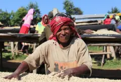 衣索比亚吉马摩卡五级G-5日晒处理法咖啡特点咖啡风味描述