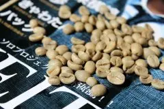 咖啡豆种类 曼特宁/蓝山/哥伦比亚/摩卡/巴西圣多斯咖啡豆介绍
