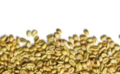 肯尼亚咖啡豆祈安布产区 瓦马谷马庄园AB级咖啡风味特点描述