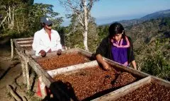 巴西Fazenda Lagoa咖啡庄园故事 咖啡种植品种咖啡风味口感如何