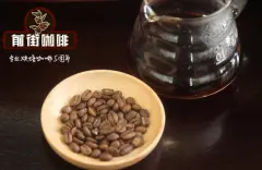 世界咖啡品牌排行 雅各布咖啡怎么样 雀巢咖啡属于什么咖啡