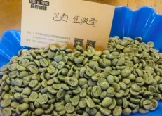 哥斯达黎加塔拉珠Tarrazu咖啡豆 咖啡加工的环境影响口感风味描述