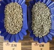 越南咖啡种植故事 咖啡种植品种有哪些 越南咖啡种植特点介绍