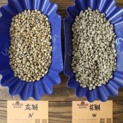 巴拿马博克特Boquete咖啡庄园故事 博克特咖啡豆品质口感特点描述