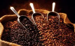 咖啡为什么要烘焙 咖啡烘焙前后发生哪些变化 咖啡烘焙程度哪个好