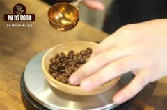 咖啡成本 如何转化成每公斤羊皮纸的成本 咖啡成本转化测量单位