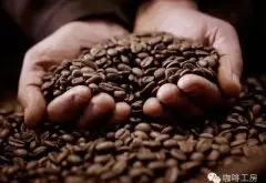 卡杜拉Caturra咖啡品种口感 Finca Mama Mina庄园咖啡豆介绍