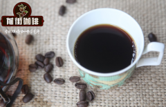 托利马产区精选咖啡介绍 Typica咖啡品种风味描述咖啡口味特点