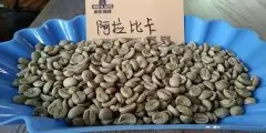 咖啡品种有哪些 咖啡属生长条件 阿拉比卡咖啡与罗布斯塔咖啡介绍