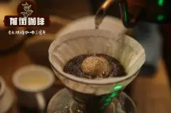 巴西咖啡杂交品种新世界100%Mundo Novo风味 巴西咖啡处理法