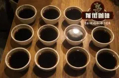 老虎曼特宁与黄金曼特宁咖啡豆品种风味口感特点的区别介绍