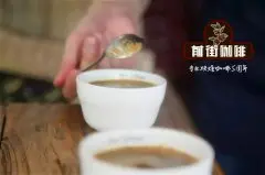 国内精品咖啡 精品咖啡风味描述 台湾古坑精品咖啡豆三次严选特点