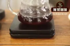 广州咖啡豆烘培 猫屎咖啡酸度高？广州猫屎咖啡为什么名气高？