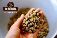埃塞俄比亚哈拉阿拉比卡咖啡咖啡豆特点风味描述 哈拉咖啡处理法