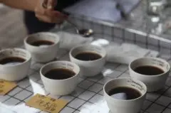 为什么浅焙咖啡会那么酸？浅焙咖啡萃取度多少 浅培咖啡豆风味
