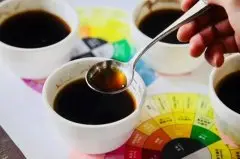 咖啡烘焙是什么味道 咖啡味道描述 咖啡风味专业术语有哪些