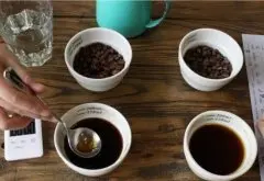 咖啡粉与水的配比 多少咖啡粉放多少水 咖啡粉冲咖啡水比例