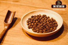 帕卡马拉咖啡豆风味 坚果风味咖啡豆有哪些 尼加拉瓜咖啡豆象豆