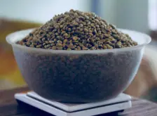危地马拉咖啡豆处理法 Gesha处理法特点 蜜处理橙蜜处理法介绍