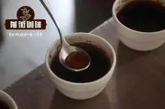 云南精品咖啡合作社 Timor杂交品种 雪莲果风味红糖甜口感